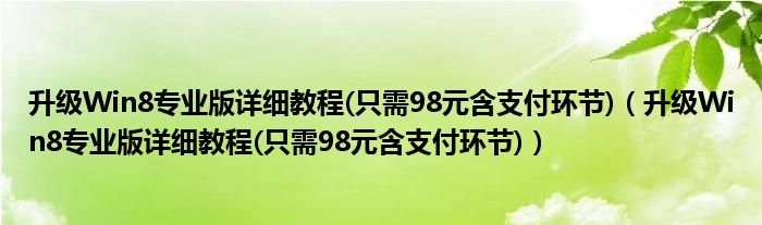 升级Win8专业版详细教程(只需98元含支付环节)（升级Win8专业版详细教程(只需98元含支付环节)）