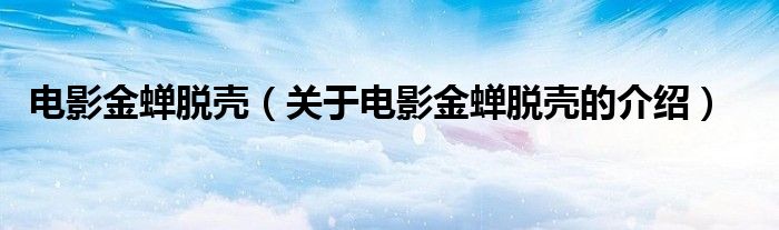 电影金蝉脱壳（关于电影金蝉脱壳的介绍）