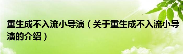 重生成不入流小导演（关于重生成不入流小导演的介绍）