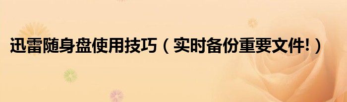 迅雷随身盘使用技巧（实时备份重要文件!）