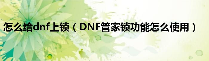 怎么给dnf上锁（DNF管家锁功能怎么使用）