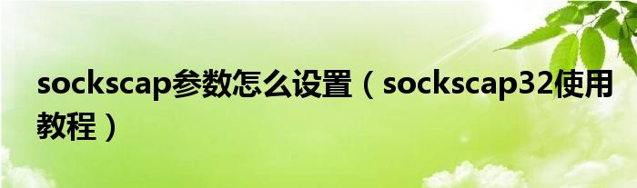 sockscap参数怎么设置（sockscap32使用教程）