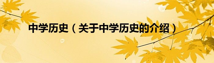 中学历史（关于中学历史的介绍）