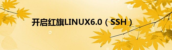 开启红旗LINUX6.0（SSH）