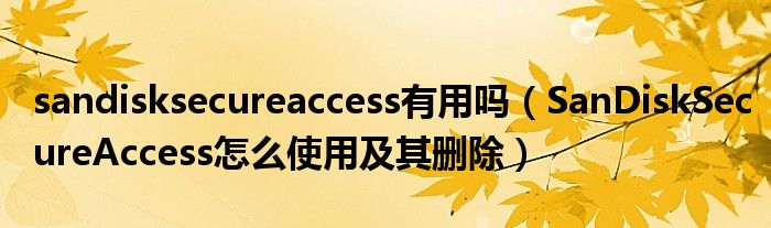 sandisksecureaccess有用吗（SanDiskSecureAccess怎么使用及其删除）