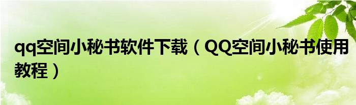 qq空间小秘书软件下载（QQ空间小秘书使用教程）