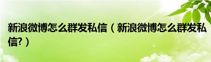 新浪微博怎么群发私信（新浪微博怎么群发私信?）