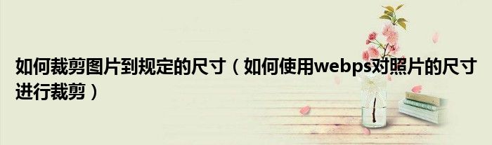 如何裁剪图片到规定的尺寸（如何使用webps对照片的尺寸进行裁剪）