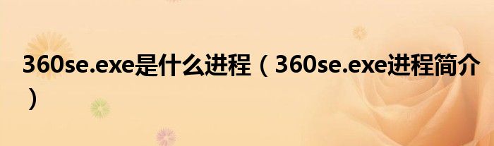 360se.exe是什么进程（360se.exe进程简介）