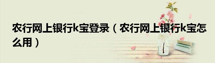 农行网上银行k宝登录（农行网上银行k宝怎么用）