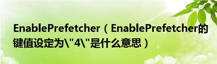 EnablePrefetcher（EnablePrefetcher的键值设定为"4"是什么意思）