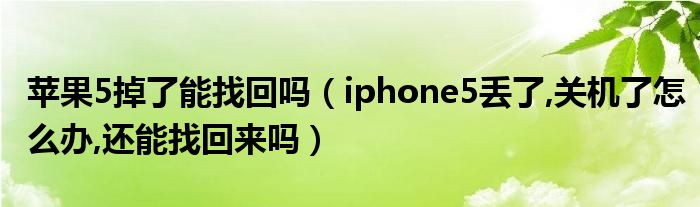 苹果5掉了能找回吗（iphone5丢了,关机了怎么办,还能找回来吗）