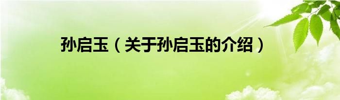 孙启玉（关于孙启玉的介绍）