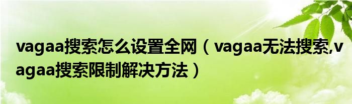 vagaa搜索怎么设置全网（vagaa无法搜索,vagaa搜索限制解决方法）