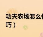 功夫农场怎么快速偷菜（讲解QQ农场偷菜技巧）