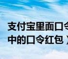 支付宝里面口令红包怎么领（如何领取支付宝中的口令红包）