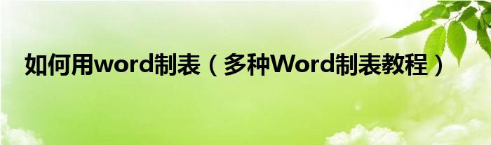 如何用word制表（多种Word制表教程）