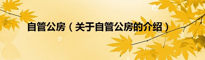 自管公房（关于自管公房的介绍）