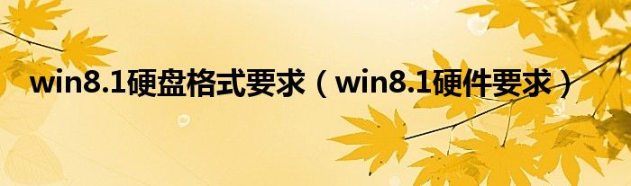 win8.1硬盘格式要求（win8.1硬件要求）