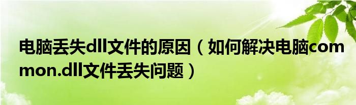 电脑丢失dll文件的原因（如何解决电脑common.dll文件丢失问题）