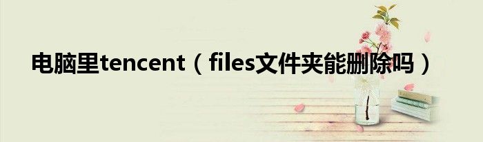 电脑里tencent（files文件夹能删除吗）