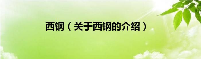 西钢（关于西钢的介绍）