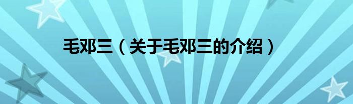 毛邓三（关于毛邓三的介绍）