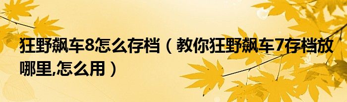 狂野飙车8怎么存档（教你狂野飙车7存档放哪里,怎么用）