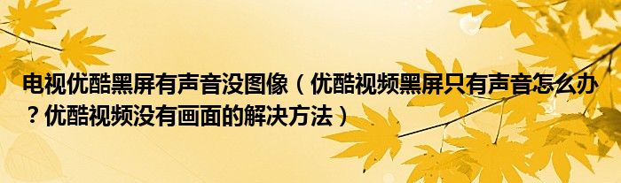 电视优酷黑屏有声音没图像（优酷视频黑屏只有声音怎么办？优酷视频没有画面的解决方法）