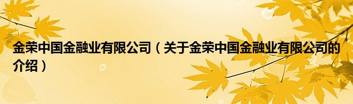 金荣中国金融业有限公司（关于金荣中国金融业有限公司的介绍）