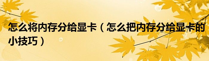 怎么将内存分给显卡（怎么把内存分给显卡的小技巧）
