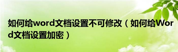 如何给word文档设置不可修改（如何给Word文档设置加密）