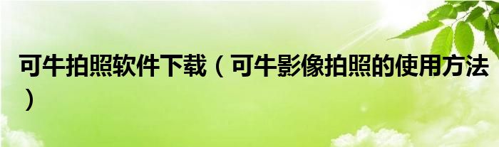 可牛拍照软件下载（可牛影像拍照的使用方法）