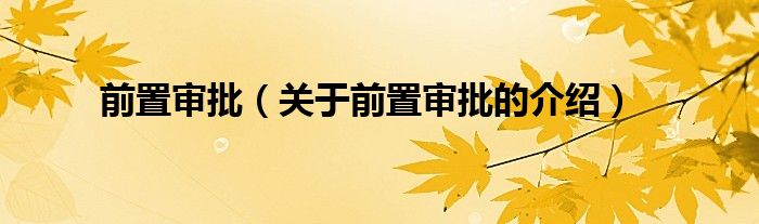 前置审批（关于前置审批的介绍）