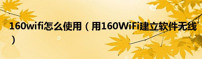 160wifi怎么使用（用160WiFi建立软件无线）