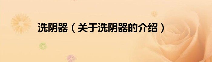 洗阴器（关于洗阴器的介绍）