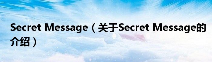Secret Message（关于Secret Message的介绍）