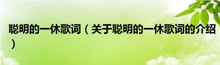 聪明的一休歌词（关于聪明的一休歌词的介绍）