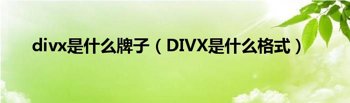 divx是什么牌子（DIVX是什么格式）