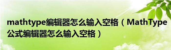 mathtype编辑器怎么输入空格（MathType公式编辑器怎么输入空格）