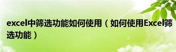 excel中筛选功能如何使用（如何使用Excel筛选功能）