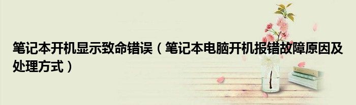 笔记本开机显示致命错误（笔记本电脑开机报错故障原因及处理方式）