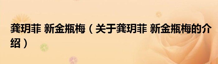龚玥菲 新金瓶梅（关于龚玥菲 新金瓶梅的介绍）