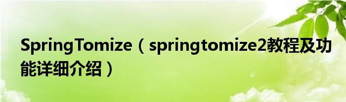 SpringTomize（springtomize2教程及功能详细介绍）