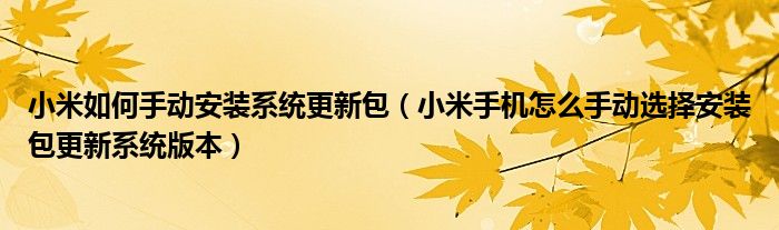 小米如何手动安装系统更新包（小米手机怎么手动选择安装包更新系统版本）