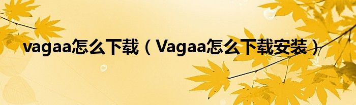 vagaa怎么下载（Vagaa怎么下载安装）