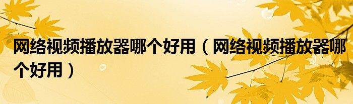 网络视频播放器哪个好用（网络视频播放器哪个好用）