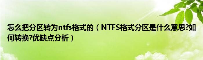 怎么把分区转为ntfs格式的（NTFS格式分区是什么意思?如何转换?优缺点分析）