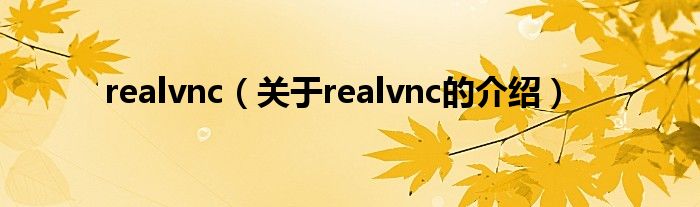 realvnc（关于realvnc的介绍）