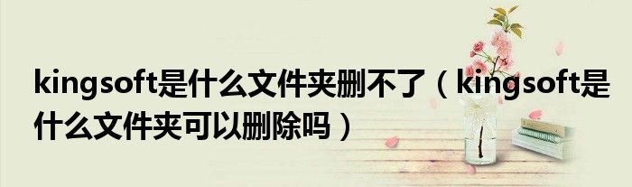 kingsoft是什么文件夹删不了（kingsoft是什么文件夹可以删除吗）